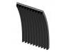 Keilrippenriemen V-Ribbed Belt:21906168